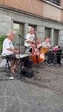 Video-splash